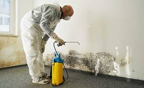  Rocklin, CA Mold Removal Pros