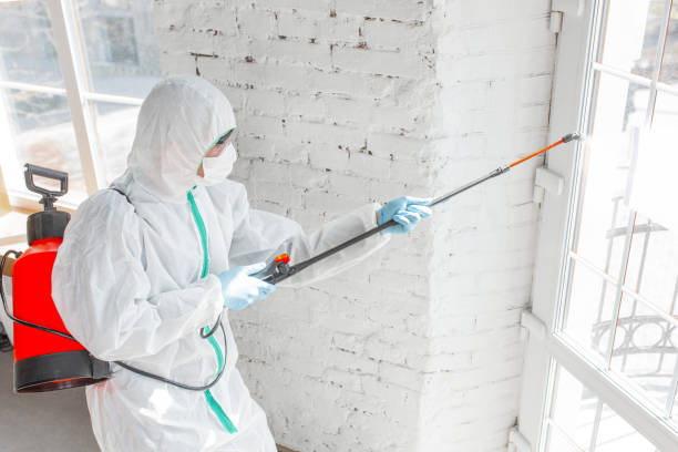 Best Industrial Mold Remediation in Rocklin, CA